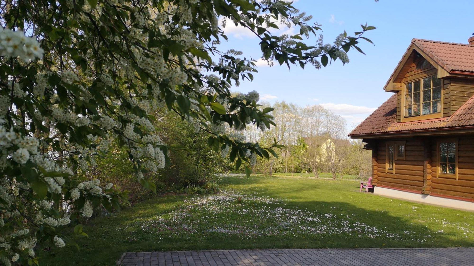 Villa Dvinumajas Balvi Zimmer foto